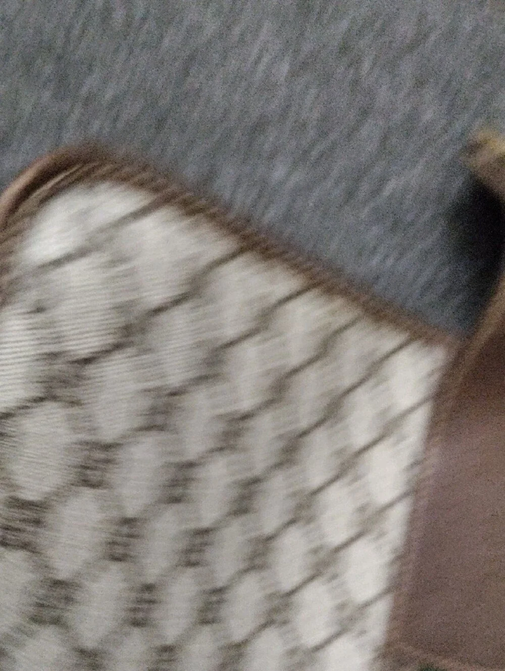 Gucci Beige GG Supreme Canvas Folio with Green and Red Web